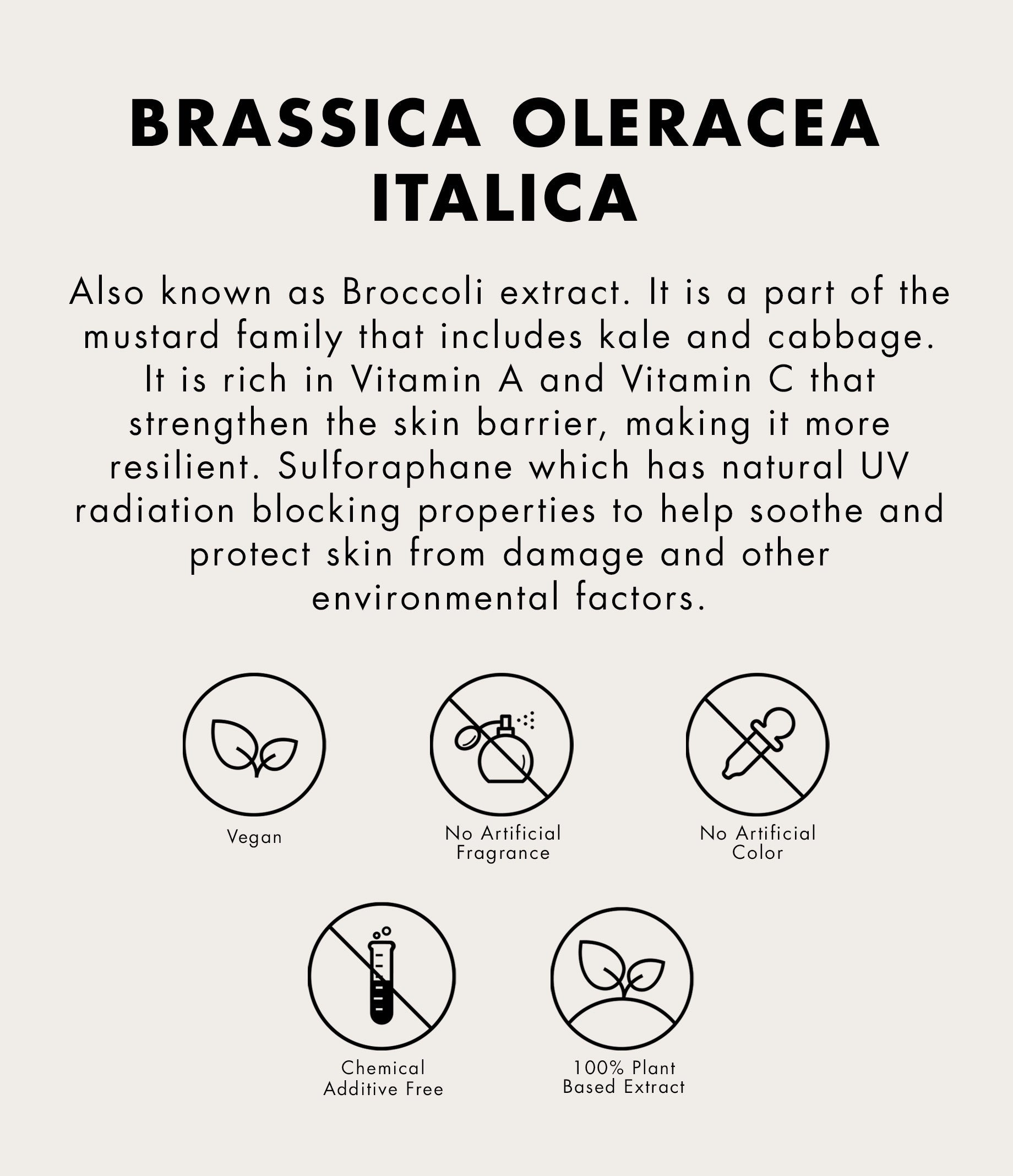 ONE THING Brassica Oleracea Italica(Broccoli) Extract (150ml)
